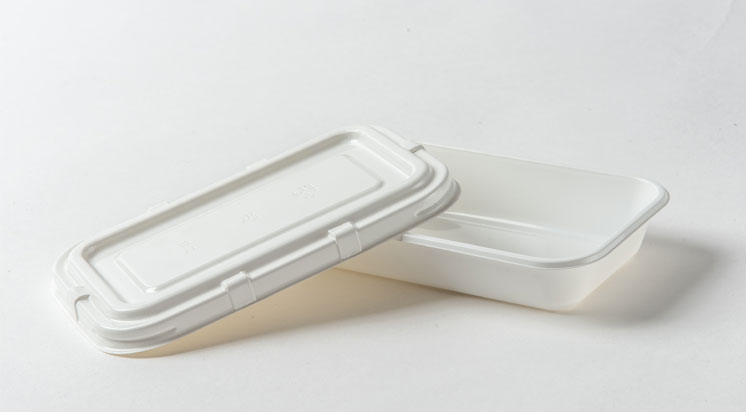 Disposable Airplane CPET Trays